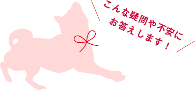 こんな疑問や不安にお答えします!