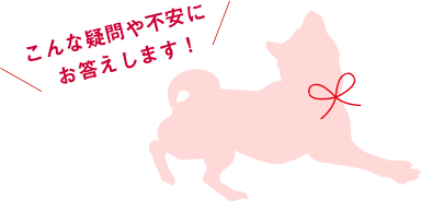 こんな疑問や不安にお答えします!